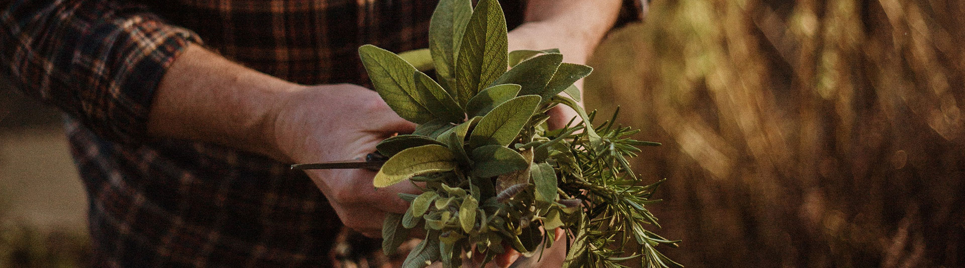 Artificial turf installation in Toronto